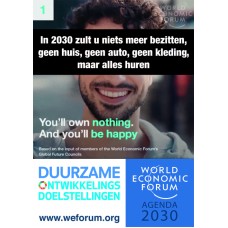 Poster - Agenda 2030 - You'll own nothing